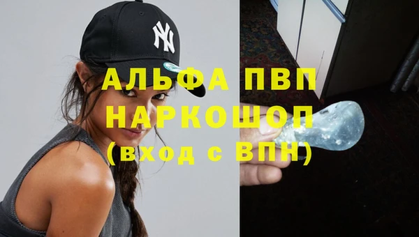 МДПВ Бородино