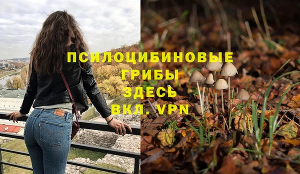 меф Белокуриха