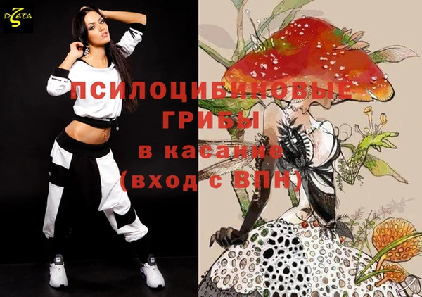 круглые Бронницы