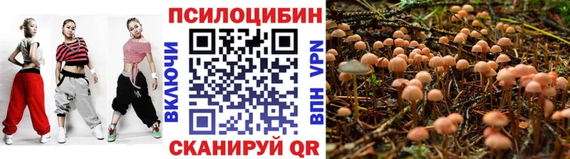 наркота  Вичуга  Галлюциногенные грибы Cubensis 